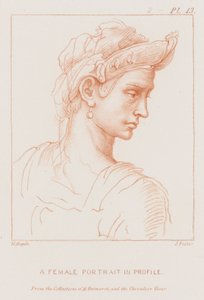在配置文件中的女性肖像 作者 米开朗基罗（Michelangelo Buonarroti）